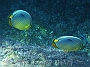 seychelles-126