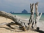 Thai_076